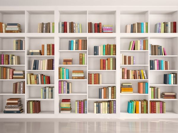 Bookshelf Assembly in Springfield